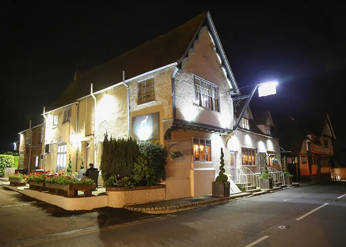 The Dog At Wingham