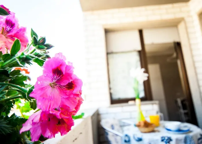 B&B Brisa del Mar