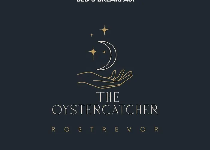 The Oystercatcher
