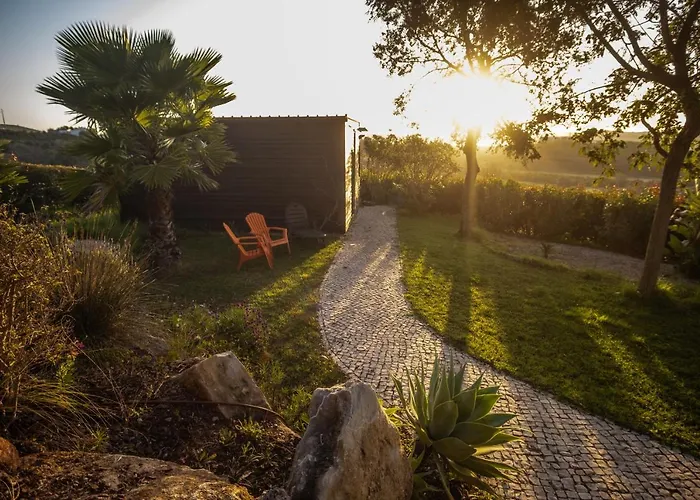 Gato Preto De Silves - Adults Only