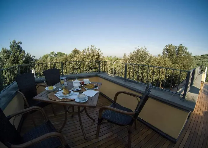 Bed and Breakfast Poggio Degli Olivi Monsummano Terme