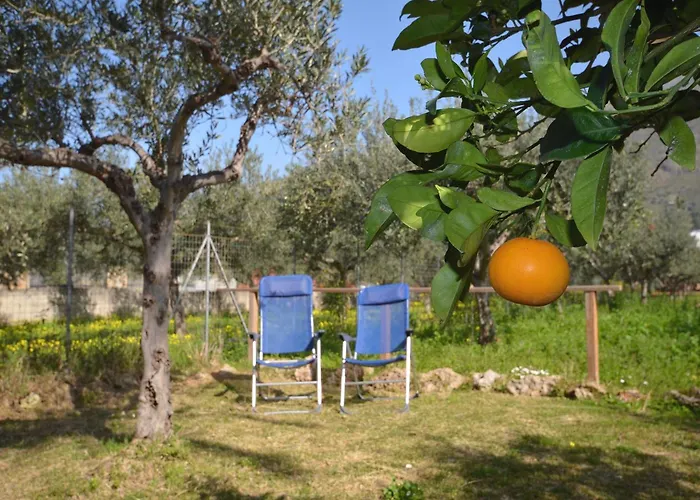 Cascina degli Ulivi