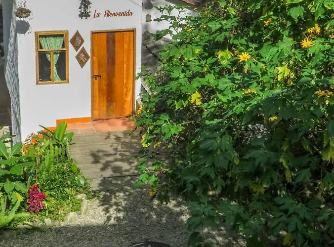 Finca Los Abuelos - La Planta