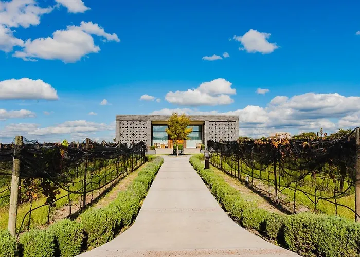 Hotel Tres Raíces Viñedo&Luxury Los Galvanes