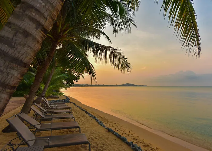 Paradise Beach Resort, Koh Samui - SHA Extra Plus Mae Nam