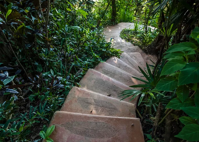 Phu Chaisai Mountain Resort Chiang Rai