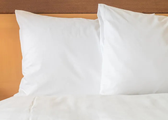 Holiday Inn Express And Suites Des Moines Downtown By Ihg