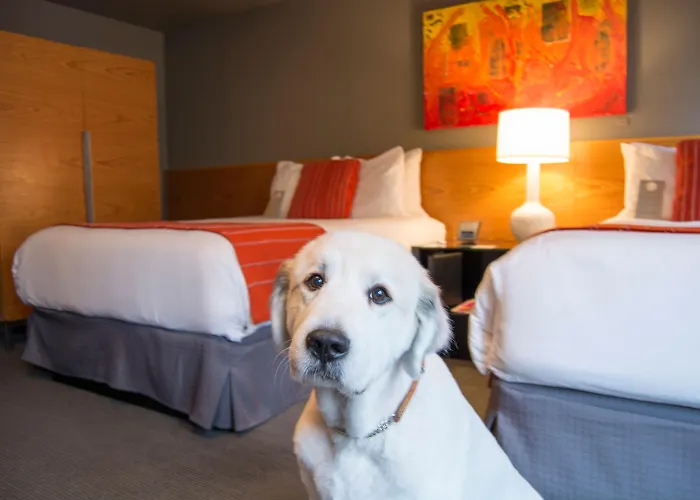 Hotel Max
