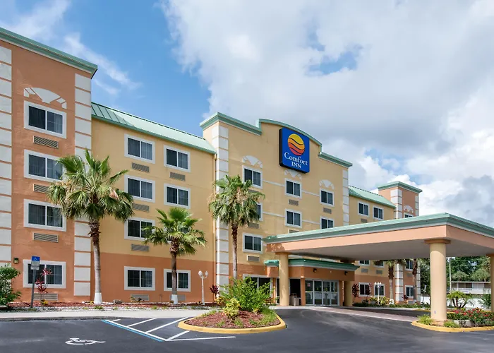 Comfort Inn Kissimmee-Lake Buena Vista South