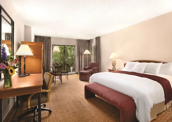 Doubletree By Hilton Durango Hotel