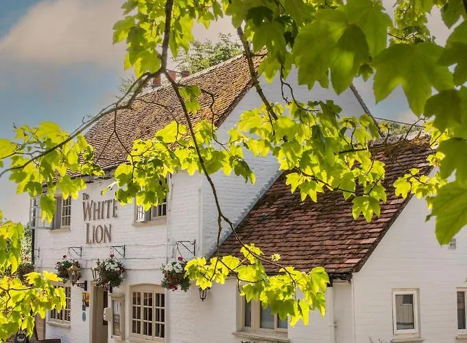 The White Lion, Soberton