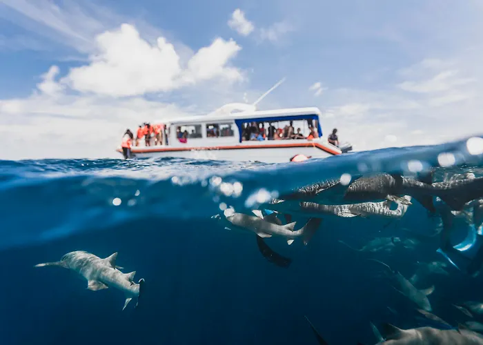 Hotel Kaani Grand Seaview Maafushi