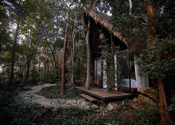 Kapok Bacalar - Plant Based Hotel Buenavista 