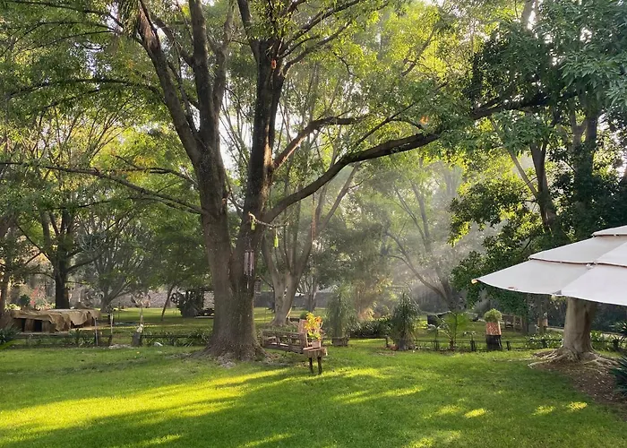 Magnolias Jardin & Boutique Suites