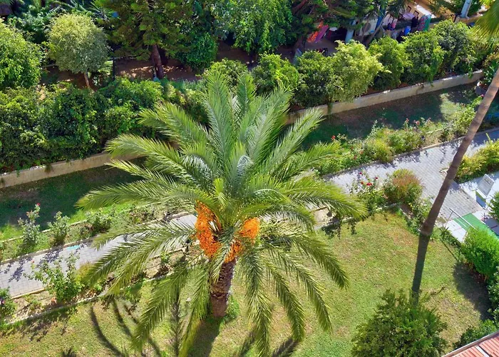 Blue Fish Hotel All Inclusive Konaklı