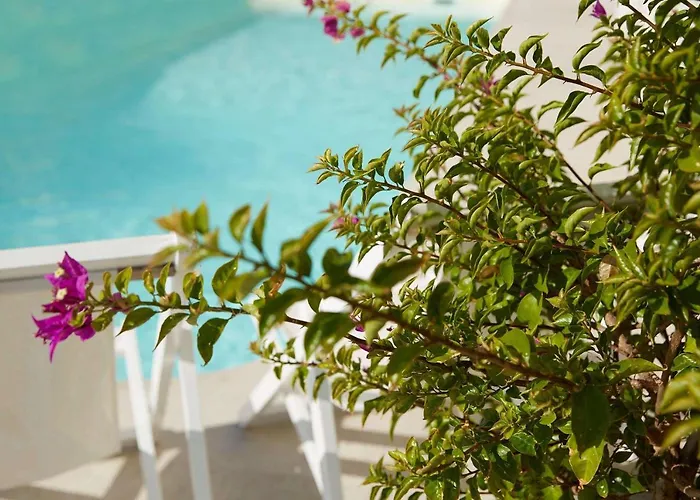 Mon Repos Palace - Adults Only Corfu 