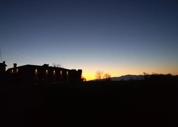 Falco Bianco San Daniele del Friuli