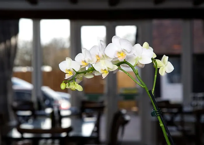 The Maple Manor Hotel Crawley 