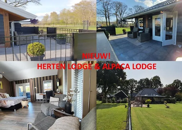 B&B Hertenhoef, Fluitenberg (Hoogeveen)