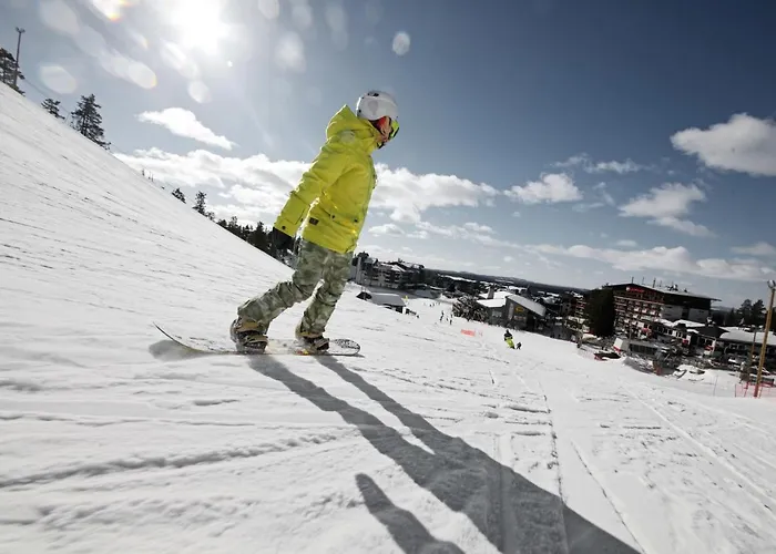 Ski-Inn Rukasuites