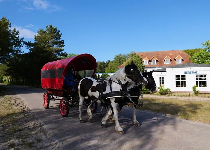 Hotel Heiderose Hiddensee