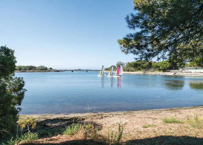 SOWELL Family Grau du Roi