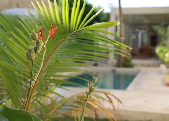 Bed and Breakfast Nuik Casa Tropical Mérida