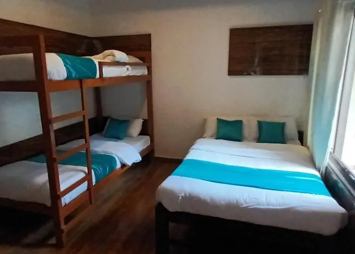 Hotel Dolly