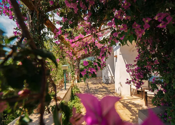 Casa Flora