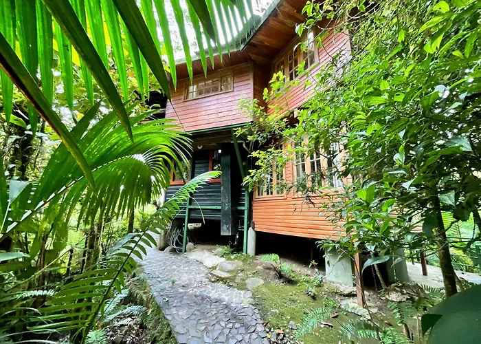 Los Quetzales Ecolodge & Spa