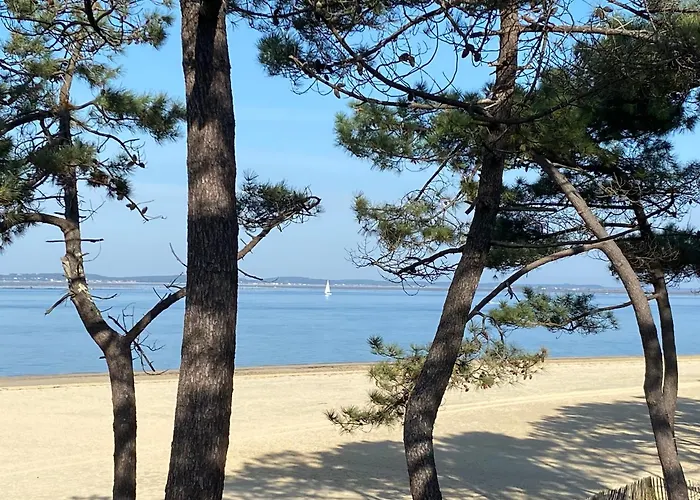 Hôtel particulier - Les lodges du Bassin d'Arcachon- Petit-déjeuner sur demande- Prestations haut de gamme Gujan-Mestras