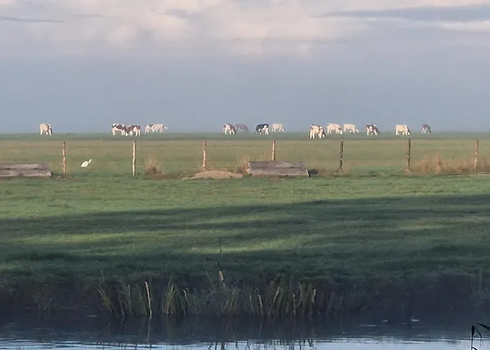 B&B Zusenzomer