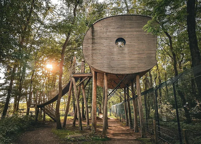 Tree Inn - Das Baumhaushotel