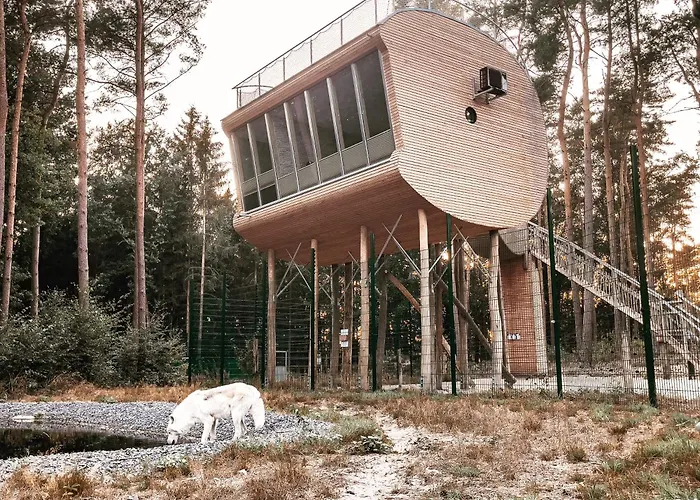 Tree Inn - Das Baumhaushotel