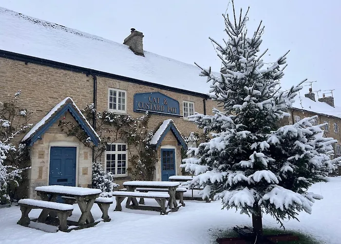 Cat And Custard Pot Inn