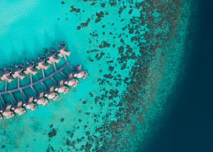Drift Thelu Veliga Retreat (Adults Only) Hotel Dhangethi