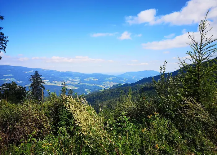 Kleinhofers Himbeernest