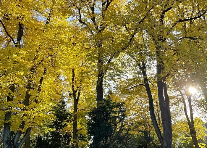 Stadtpark