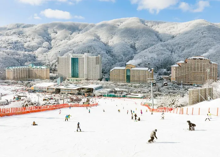 Vivaldipark Hotel Hongcheon