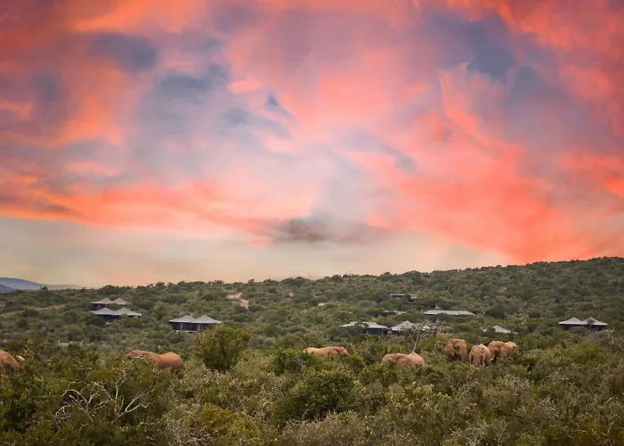Kwandwe Private Game Reserve - Ecca Lodge