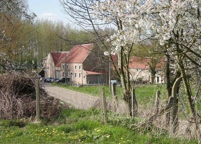 De Verborgen Parel