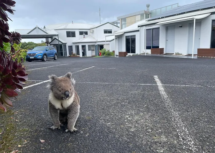 Coastal Motel