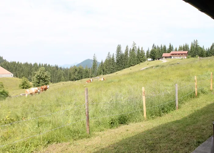 Winklmoos Sonnenalm