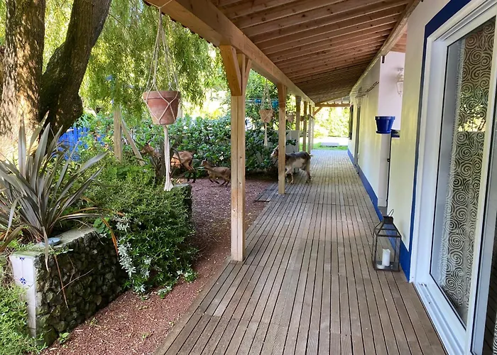 Quinta Dos Bravos