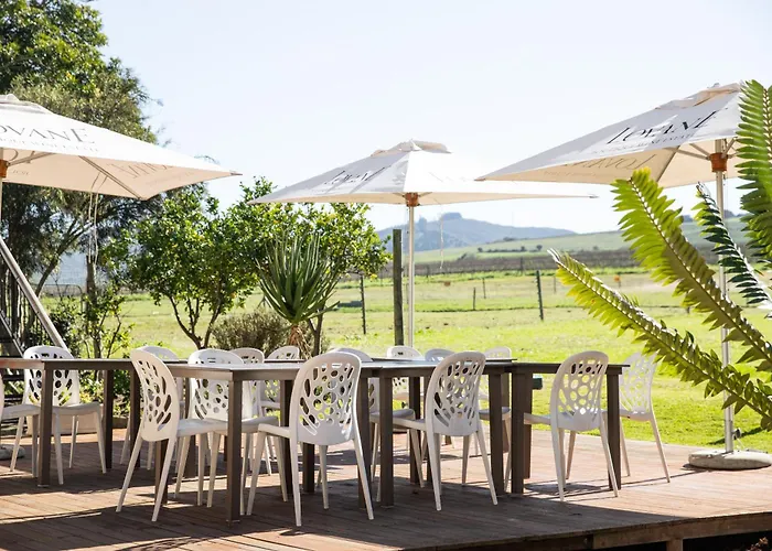Lovane Boutique Wine Estate And Guesthouse