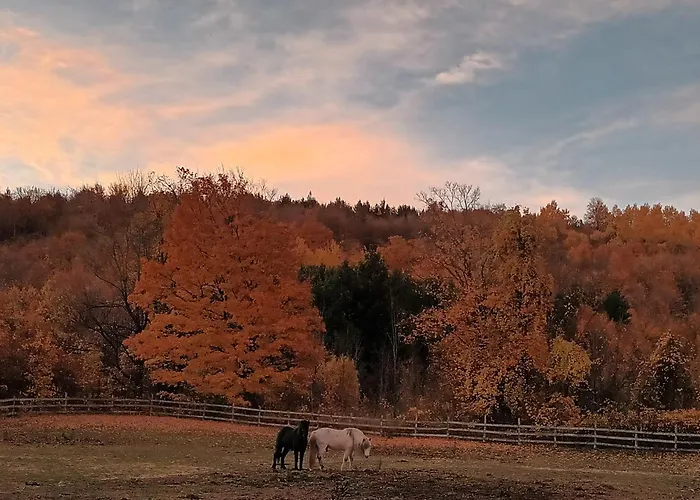 Pretty River Valley Country Inn