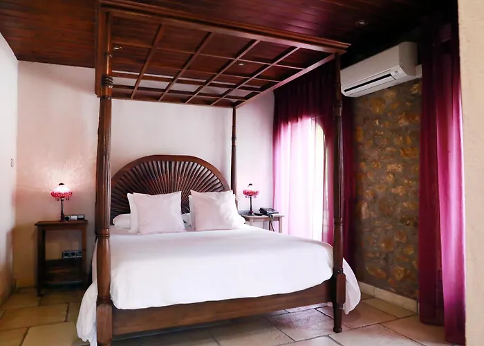 Hotel La Violeta Castelltercol