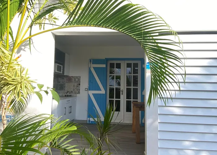 Caraibes Bonheur