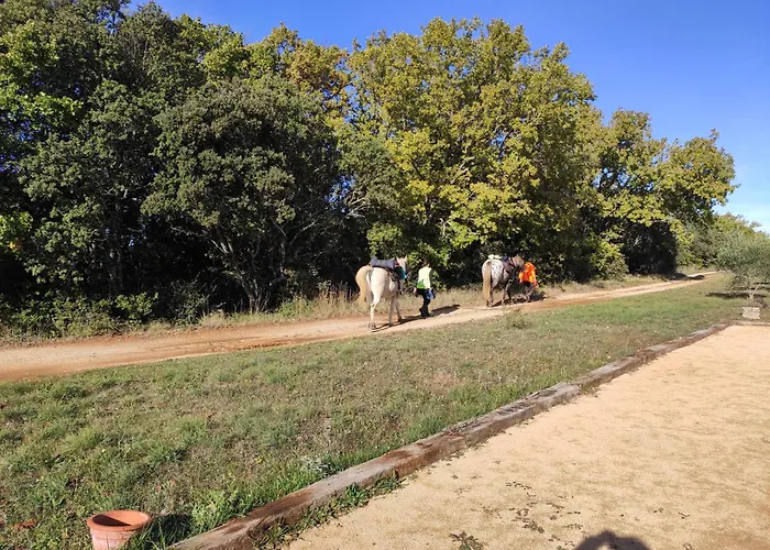 Domaine De La Blaque - B&B Varages