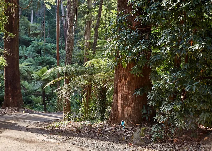 The Fernglen Forest Retreat Mount Dandenong